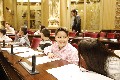 VI Parlament de la Infància